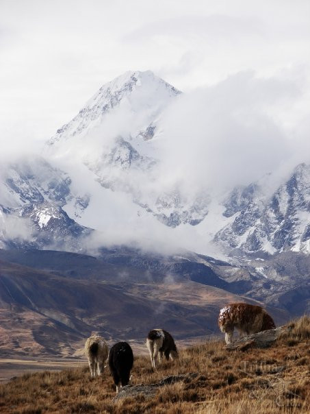 Expedição Bolívia - Huayna Potosi / Pequeno Alpamayo