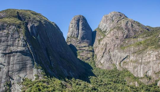 Parque Estadual dos Três Picos inaugura trilha das Centenárias